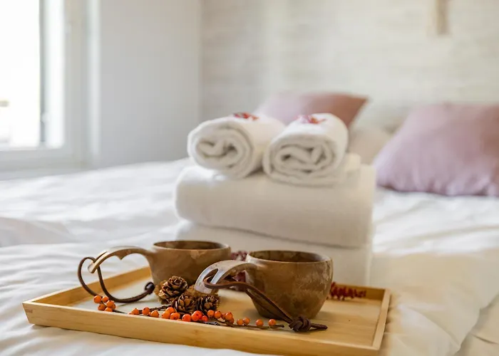 Koda Veisto - Northern Charm - Sauna & Parking Rovaniemi